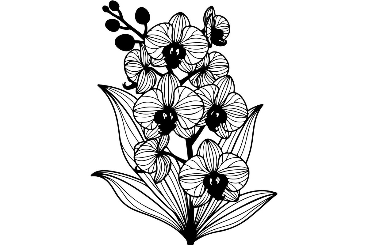 Decorative Floral Mandala Rose Butte, an Object Illustration by Designer_Momina (Photo 19 of 21)