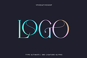 Type Ultimate - serif logo font, a Serif Font by VP Fonts (Thumbnail 8 of 24)