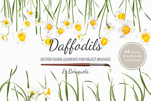 Vector Object Brushes. Daffodils