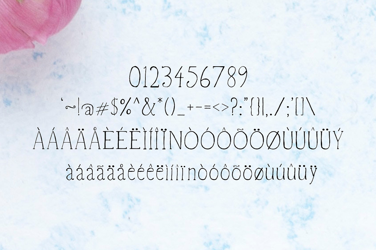 Vanett A Beautiful Handwritten Font preview 3