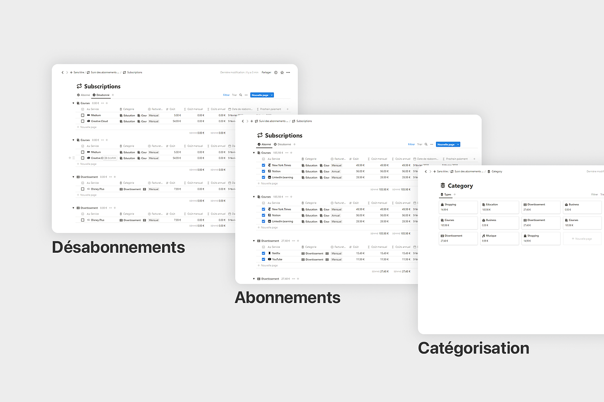 Suivi des Abonnements, a Templates & Theme by MisterAutomatiz (Photo 2 of 4)