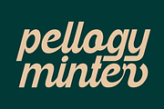Fallbeil - Modern Script Typeface, a Script Font by Marvadesign (Thumbnail 5 of 10)