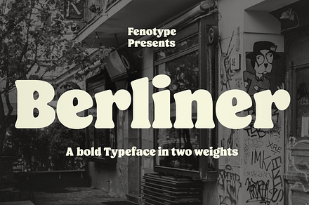 Berliner Typeface, a Serif Font by Fenotype