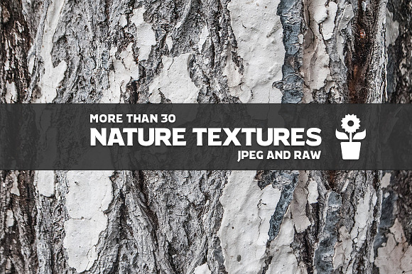 30+ Nature Textures preview 5