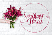 Virgi Ella - Lovely Calligraphy Font, a Script Font by StringLabs (Thumbnail 6 of 13)