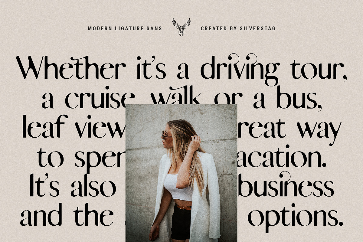 skylar - modern ligature sans font, a Sans Serif Font by SilverStag Type Foundry (Photo 10 of 18)