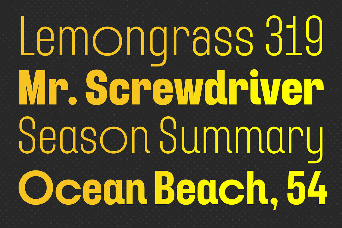 YNF Dustin | Condensed sans serif, a Sans Serif Font by YNF (Photo 21 of 26)