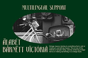 Dallen – Serif Font, a Serif Font by Craft Supply Co. (Thumbnail 5 of 8)