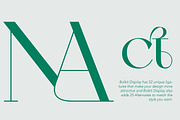 ZT Bolkit - Display Serif, a Serif Font by zelow type (Thumbnail 13 of 15)