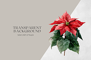 Watercolor Christmas Botanicals, a Decorative Illustration by ThaismotaCreativeCo (Thumbnail 11 of 11)