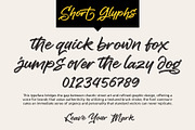 Vibe Shift - Textured Brush Script, a Script Font by Inviline.co (Thumbnail 3 of 12)