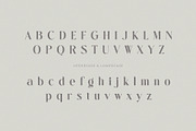 Sallyora – Stylish Modern Serif Font, a Serif Font by BrandSemut (Thumbnail 7 of 9)