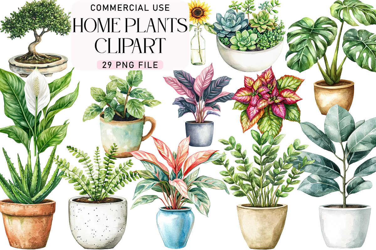 Watercolor Home Plants Clipart, an Illustration by Daily.Designs (Photo 1 of 5)