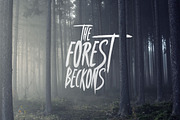 Covenant - Brush Font, a Script Font by Tugcu Design Co. (Thumbnail 4 of 6)