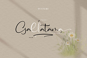 Asmeralka, a Script Font by Integritype Studio (Thumbnail 13 of 14)