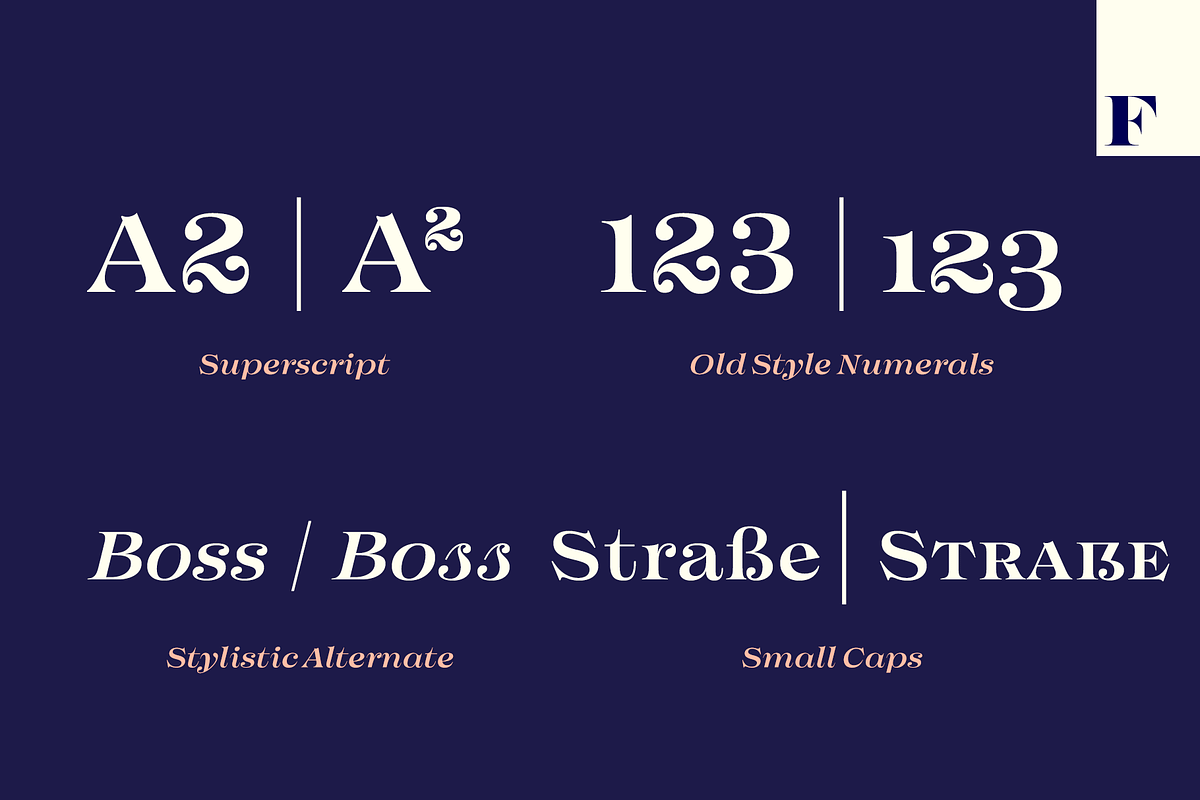 Imagist Intro Super Sale!, a Serif Font by Fenotype (Photo 8 of 10)