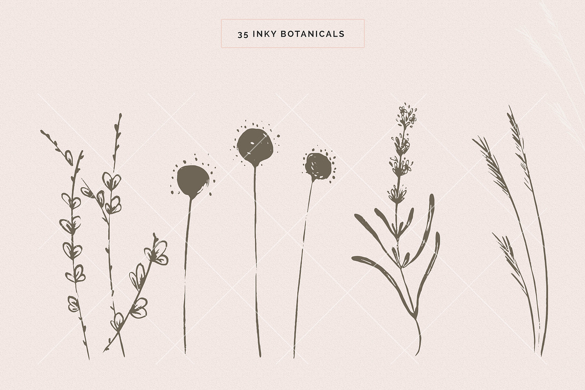 Organic Botanicals & Logo Designs, an Illustration by amber&ink (Photo 6 of 17)