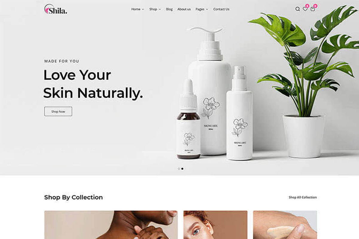 Shila - Cosmetics Shopify Theme, a Shopify Template by Team90Degree (Photo 8 of 14)