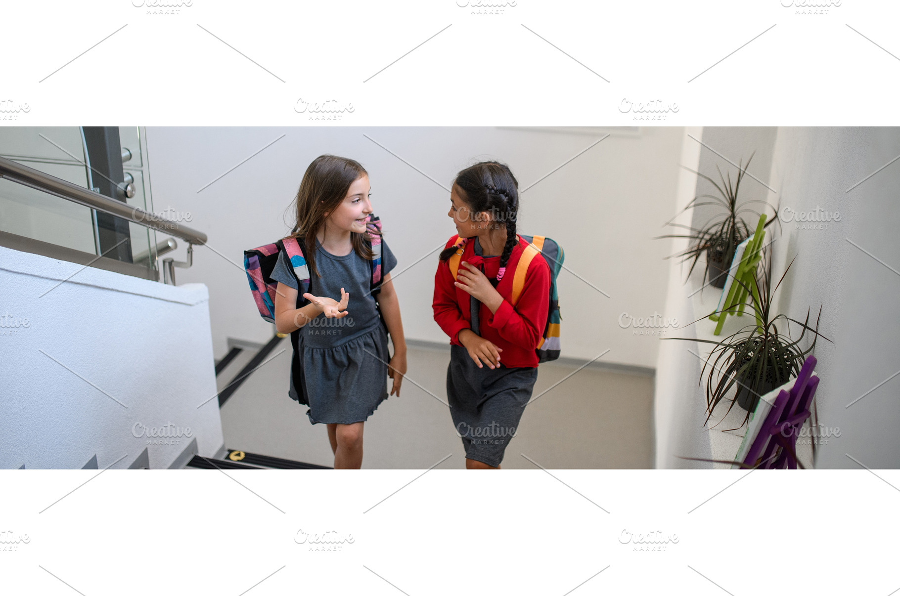 Girl friends talking in school, a Person Photo by HalfPoint