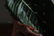 Fern Minimal Logo Pack, a Branding & Logo Template by HelloKarla (Thumbnail 5 of 9)