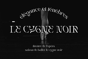 Rogain - Modern Serif, a Serif Font by LoneArmy (Thumbnail 4 of 12)