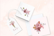 Pink Daylily Graphic Set, an Illustration by Maggie Stilwell Design (Thumbnail 4 of 6)
