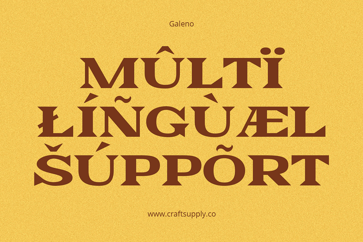 Galeno – Expanded Serif, a Serif Font by Craft Supply Co. (Photo 7 of 8)