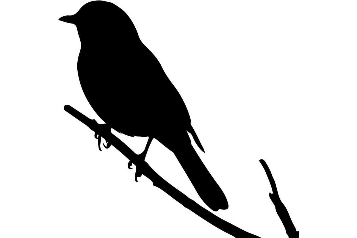 Bird Silhouette Vector Mega Bundle, an Animal Illustration by Designer_Momina (Photo 20 of 21)