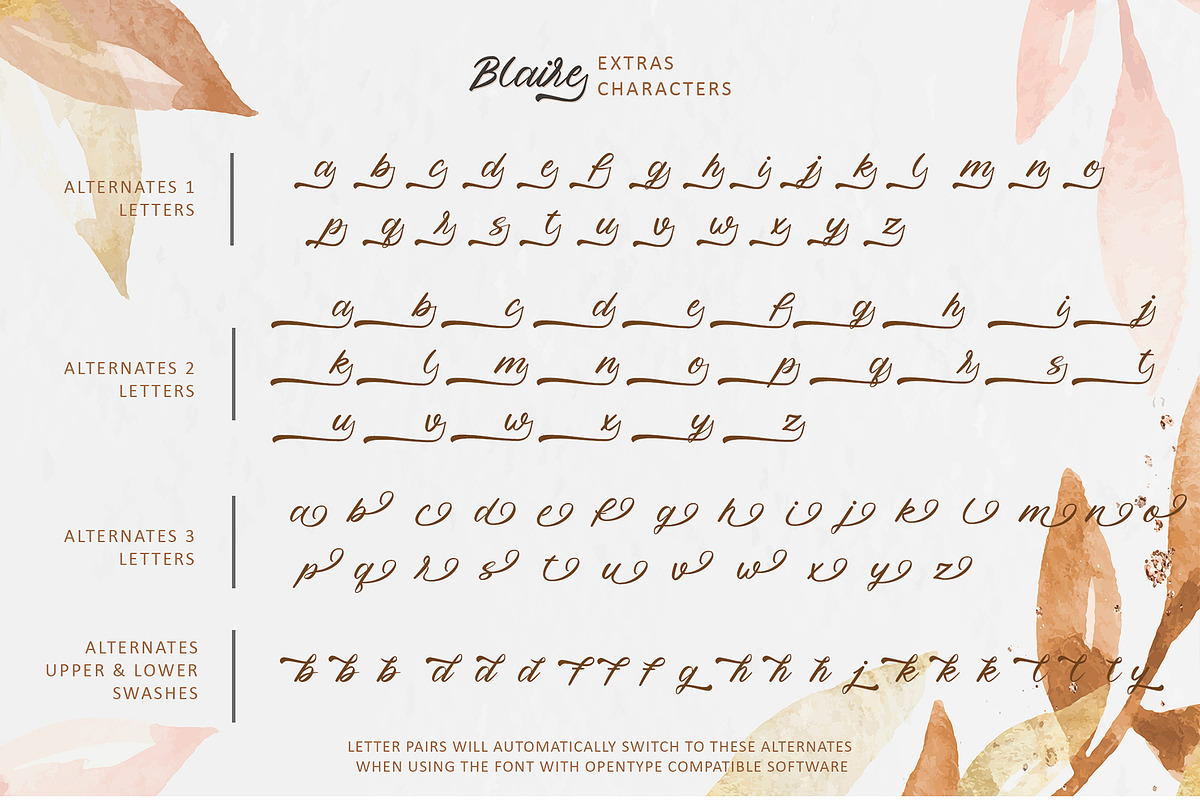 Blaire - Handwritten Font, a Script Font by erlosDESIGN (Photo 11 of 12)