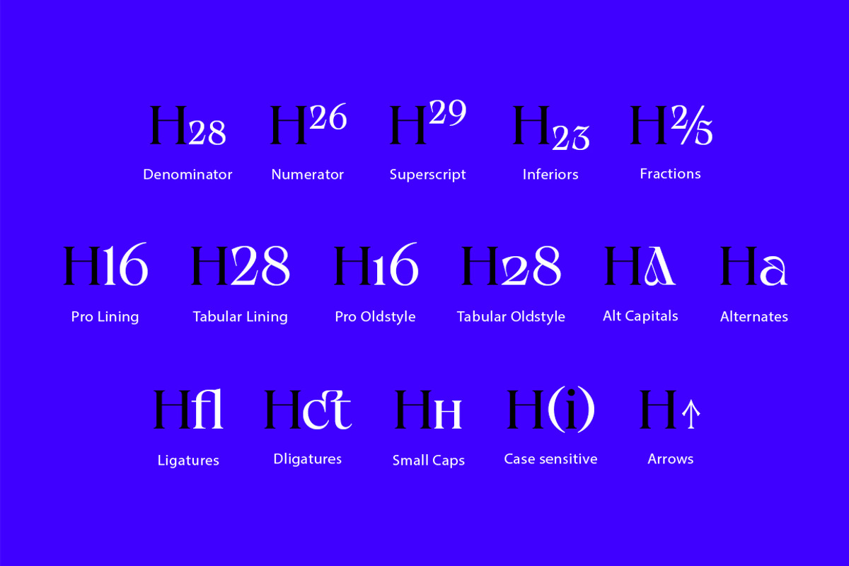 Calgera, a Serif Font by TRF Fonts (Photo 9 of 16)