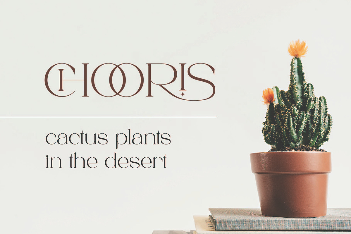 Larisa - Stylish Serif Font, a Serif Font by Aqeel_Art (Photo 7 of 9)