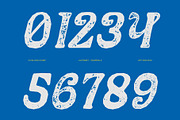 CS Bloom Stamp, a Serif Font by Craft Supply Co. (Thumbnail 4 of 8)