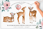 Watercolour Deer Collection, an Animal Illustration by Tommy & Tilly Design (Thumbnail 1 of 3)
