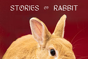 ROTE LIMA - DISPLAY FONT, a Handwritten Font by Fourshape (Thumbnail 5 of 7)