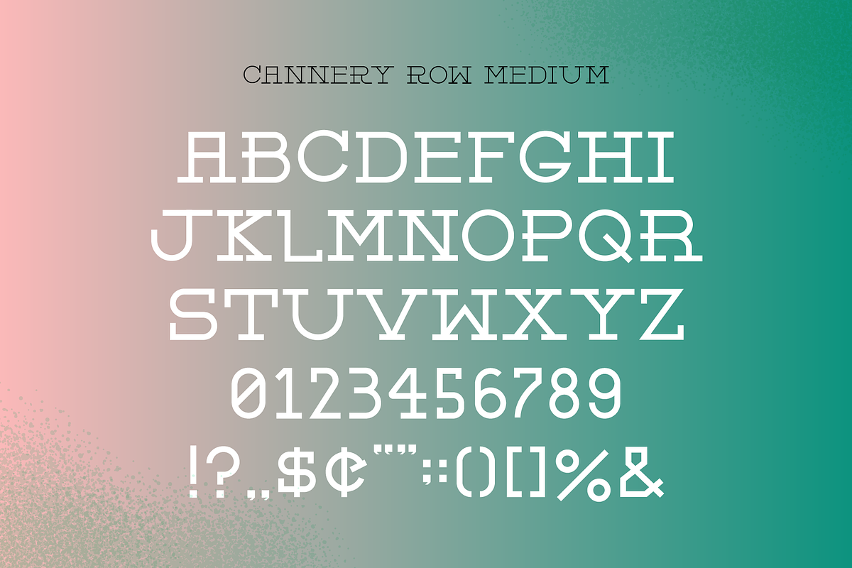 Cannery Row Slab Serif Display Font, a Slab Serif Font by Holt510 (Photo 5 of 11)