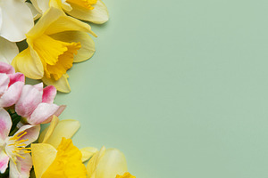 Spring flowers creating a border on a pastel green background wi, a Holiday Photo by Olena Rudo