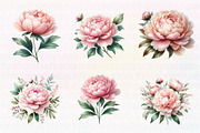 Watercolor Blush Peonies Flowers, an Illustration by CreationArt (Thumbnail 7 of 7)