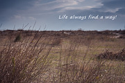 Nature close, a Templates & Theme by outlinez (Thumbnail 4 of 5)