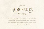 Locked Whisper Organic Handwritten, a Handwritten Font by Letterhend Studio (Thumbnail 5 of 9)