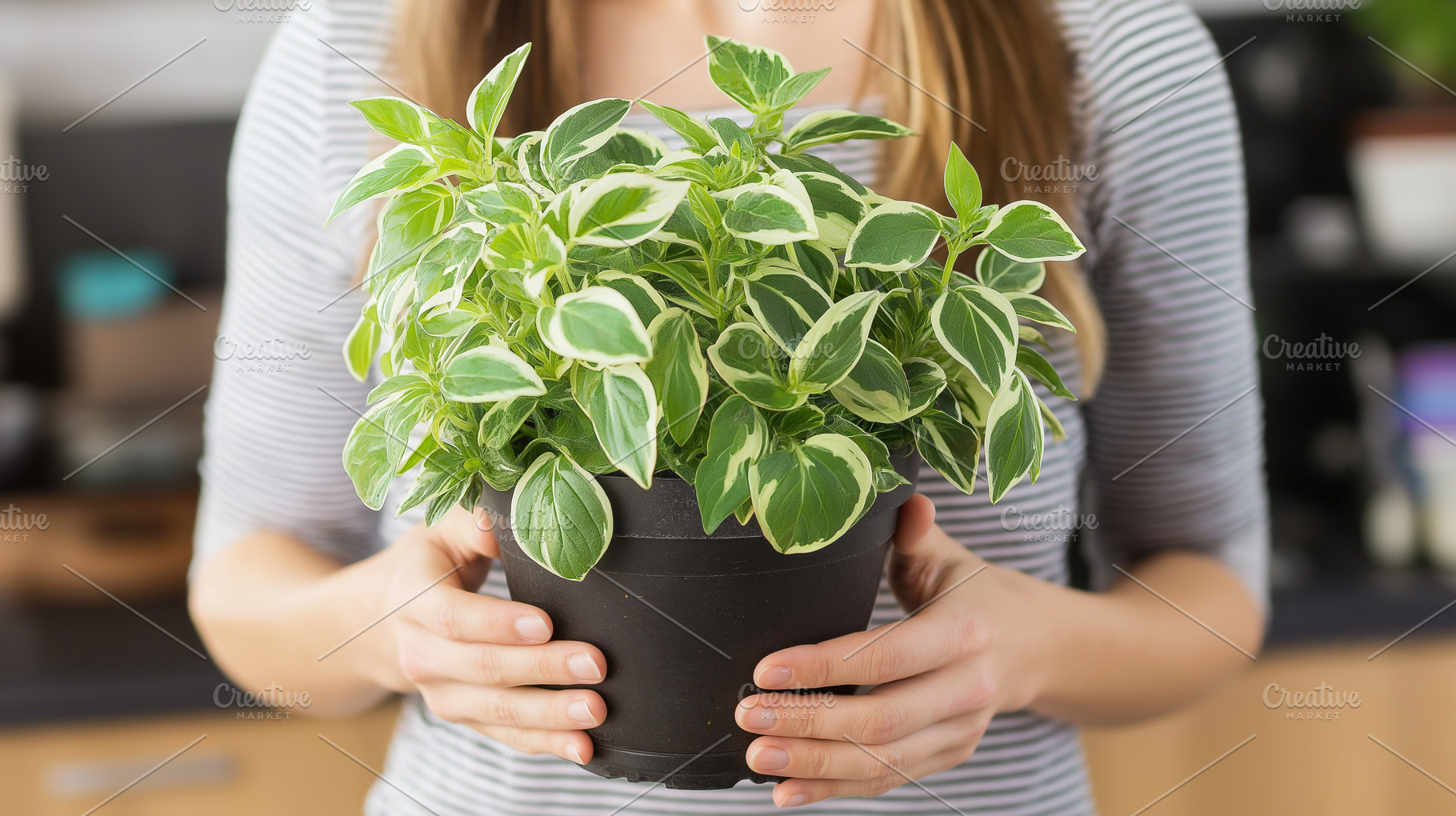 Woman holds potted houseplant with, a Nature Photo by MistyDay