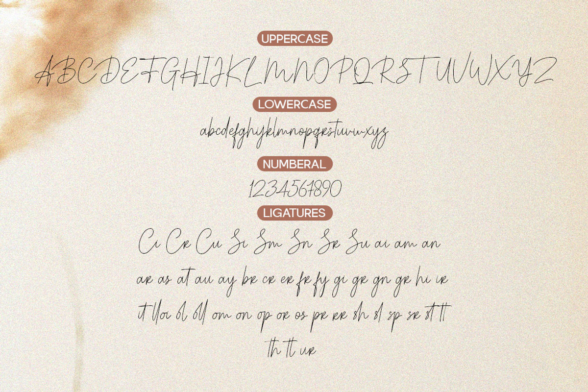 Monting Serif Script Modern Font Duo, a Script Font by Letter Fresh (Photo 12 of 12)