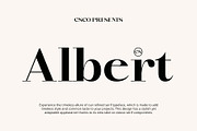 CS Albert – Classic Font, a Serif Font by Craft Supply Co. (Thumbnail 1 of 8)