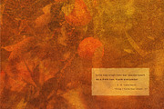 FloraAmber · Botanical Backgrounds, a Background Graphic by alonahaidash (Thumbnail 15 of 16)