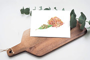 Watercolor spices, fruits, vector, an Illustration by miminoshka (Thumbnail 4 of 8)