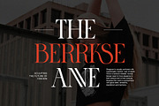 RAVORS Elegant Ligature Serif, a Serif Font by Alfinart (Thumbnail 5 of 8)