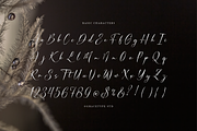 Dialmeray | Elegant Calligraphy Scri, a Script Font by gracetype_studio (Thumbnail 10 of 12)