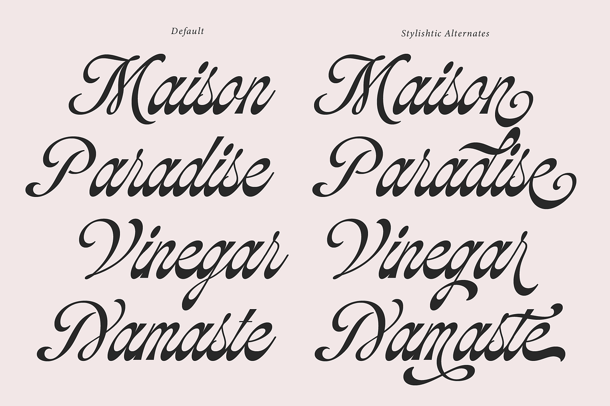 Soulmate Palms | Vintage Script, a Script Font by Jolicia Type (Photo 6 of 12)