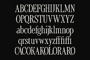 Tirone - Display Serif Font, a Font by Viswell (Thumbnail 10 of 10)