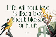 Theorine Modern Condensed Serif Font, a Serif Font by Vadovastd (Thumbnail 3 of 7)