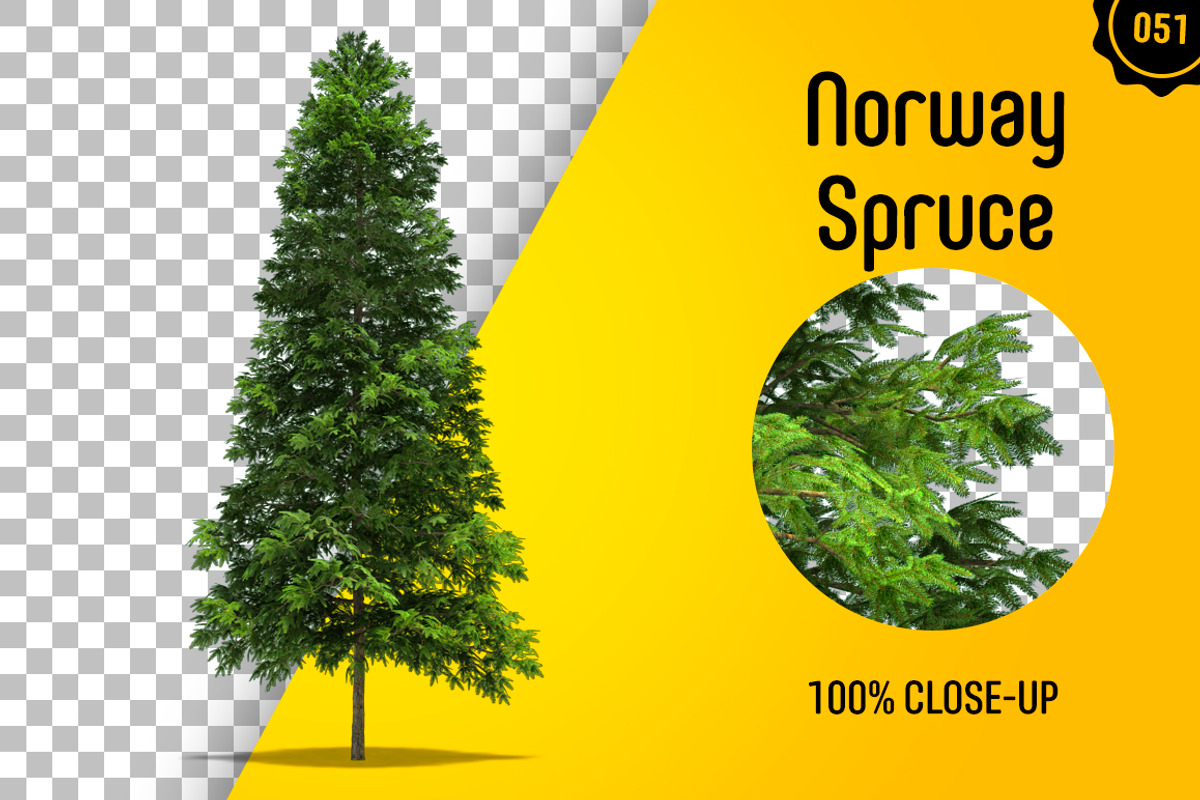 CUT OUT TREES - 60 PCS BUNDLE, a Packaging Mockup by 3DSTORE (Photo 52 of 63)
